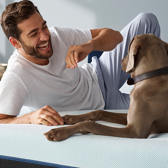 Adjustable Bed Safety for Pets & Children -- What to Know