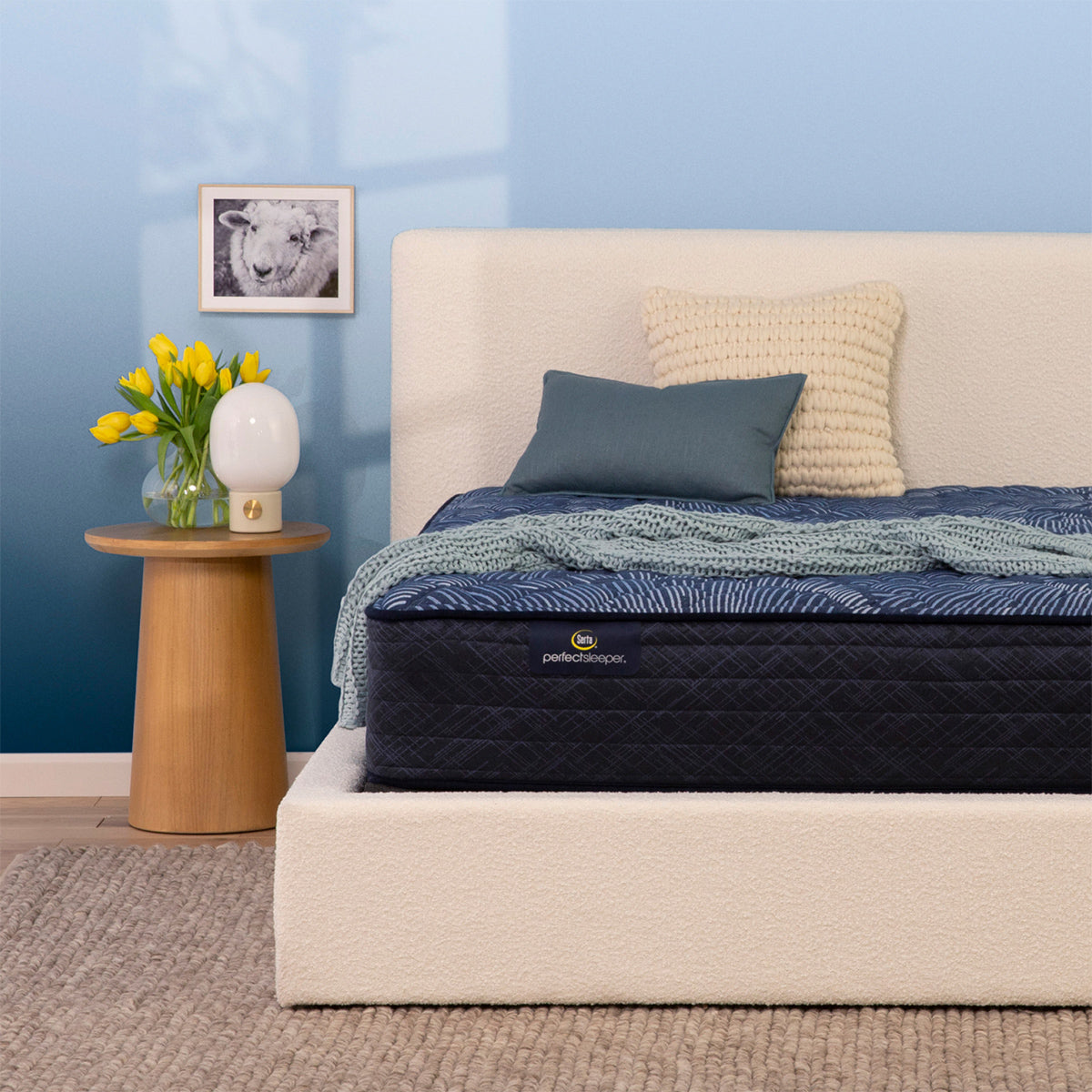 Serta Perfect Sleeper® Oasis Sleep 12