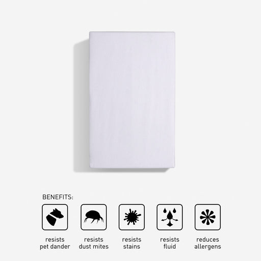 Bedgear Basic Mattress Protector – H2Zero Waterproof Barrier with Breathable Lightweight Fabric