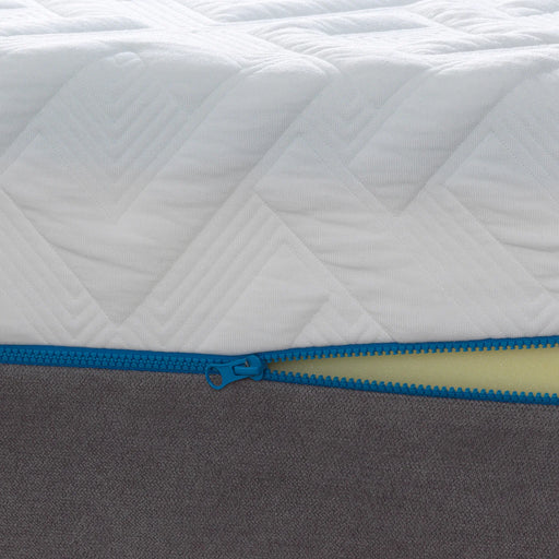 Bedplanet 12" Gel Plush Memory Foam Mattress - Bedplanet