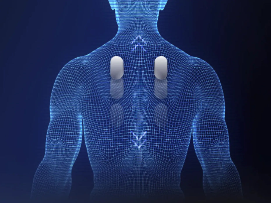 Osaki Flagship Duo Massage Chair - MassageChairPlanet.com