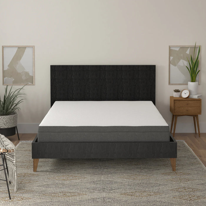 Bedplanet 8" Daisy Firm Mattress - Bedplanet