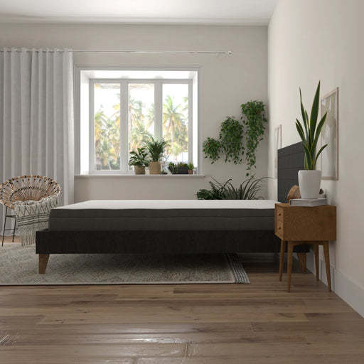 Bedplanet 8" Daisy Firm Mattress - Bedplanet