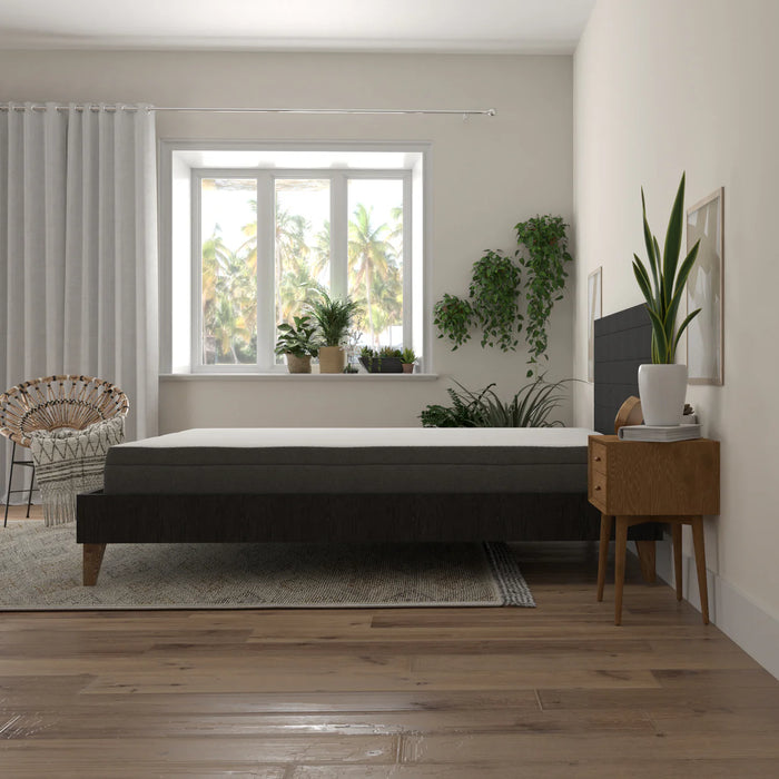 Bedplanet 8" Daisy Firm Mattress - Bedplanet