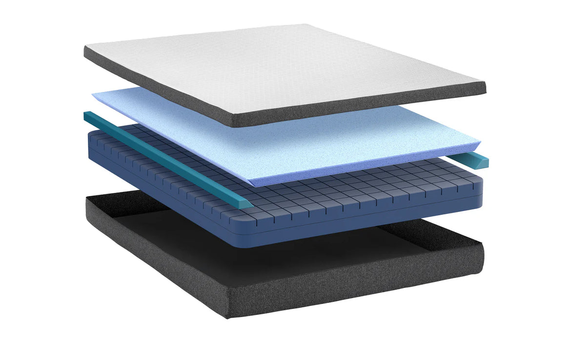 Bedplanet 8" Daisy Firm Mattress - Bedplanet