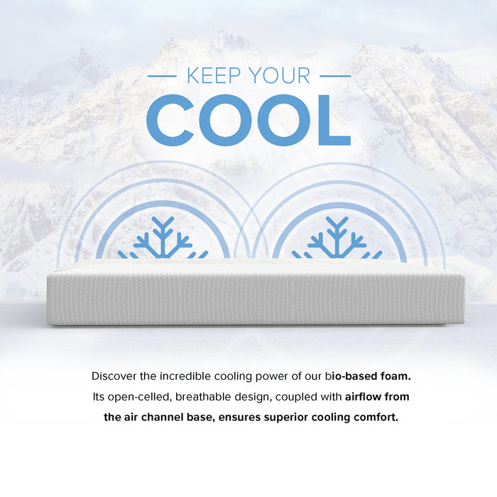 Bedplanet 10” EcoCore Origin Medium Firm Mattress - Bedplanet