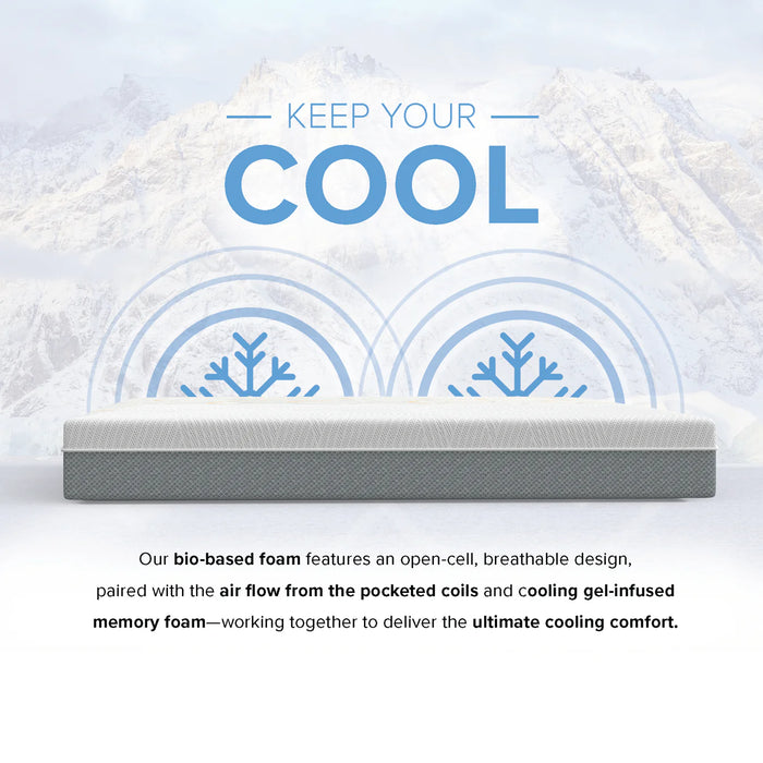 Bedplanet 10” EcoCore Hybrid Premium Medium Firm Mattress - Bedplanet