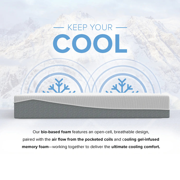 Bedplanet 12” EcoCore Hybrid Deluxe Medium Plush Mattress - Bedplanet