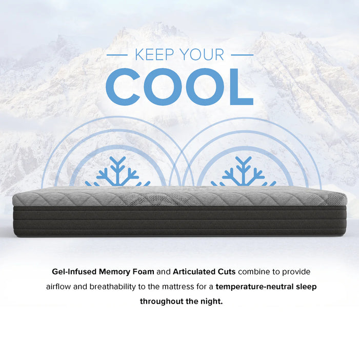 Bedplanet 10” Essentials Comfort Reactive Medium Mattress - Bedplanet