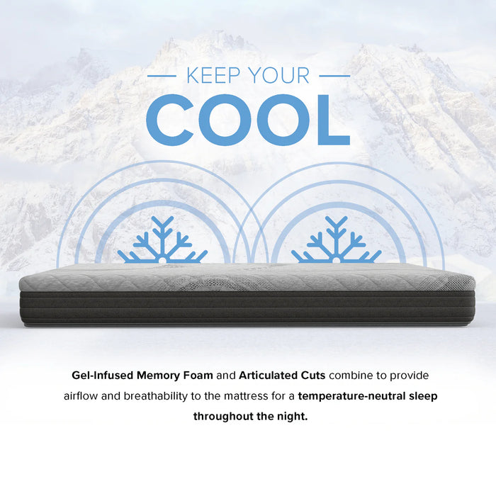 Bedplanet 8” Essentials Comfort Reactive Medium Firm Mattress - Bedplanet