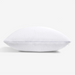 Bedgear iProtect Pillow Protector - Bedplanet