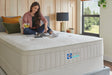 Sealy Naturals Flat Foundation - Bedplanet