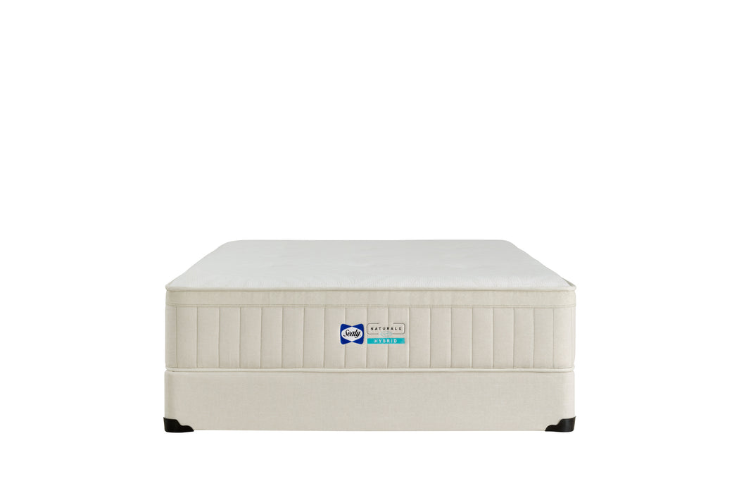 Sealy Naturals Flat Foundation - Bedplanet