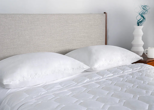 Bedgear StretchWick Pillow Protector - Bedplanet