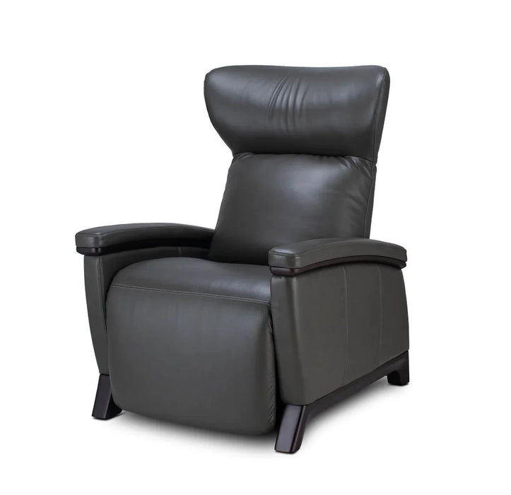 Svago The Motion Mastery Zero Gravity Lounge Chair - MassageChairPlanet.com