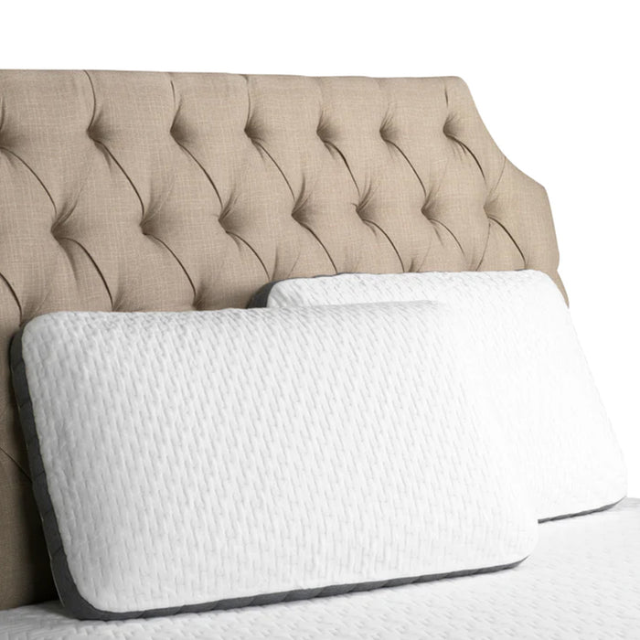 Bedplanet Bamboo Charcoal Cooling Gel Memory Foam Pillow