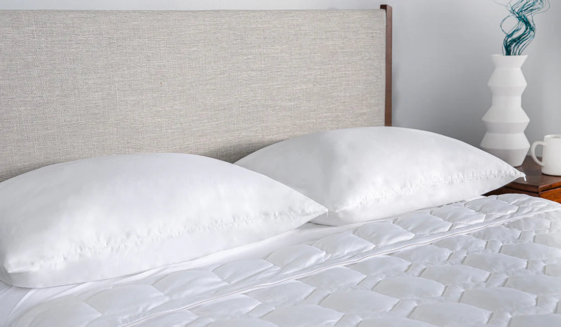 Bedgear iProtect Pillow Protector - Bedplanet