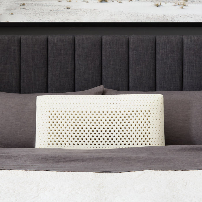 Front view of the Malouf Talalay latex pillow core showing its zoned pinhole ventilation pattern
