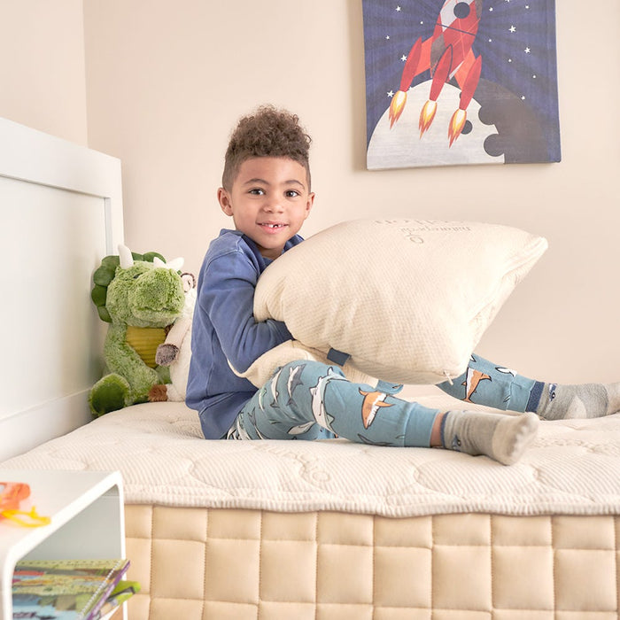 Naturepedic PLA Kids Pillow with Organic Fabric