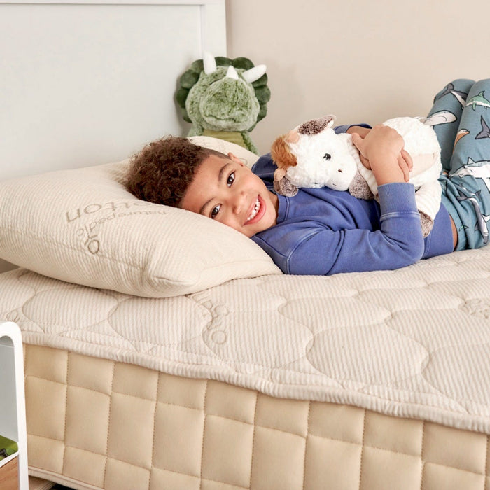 Naturepedic PLA Kids Pillow with Organic Fabric