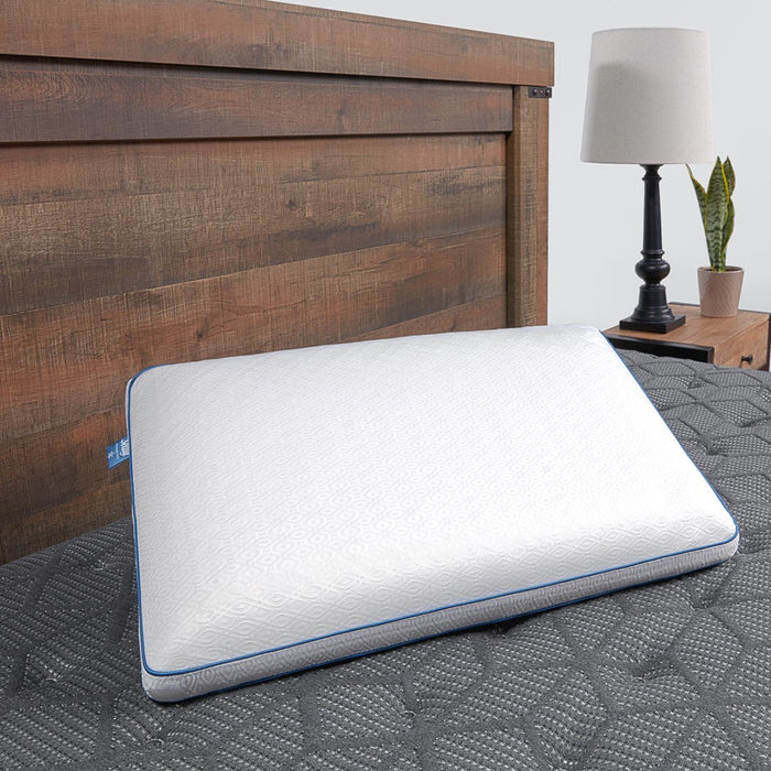 https://bedplanet.com/cdn/shop/products/Sealyr-Response-Cooling-Memory-Foam-And-Support-Gel-Bed-Pillow-Sealy-15334115-PQ-4_5ff258ed-7975-4437-a689-bb58739dad08_700x700.jpg?v=1633556868