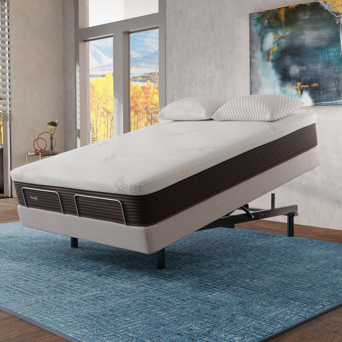 Shop Bedplanet.com for Tempur-Pedic, Stearns & Foster, Sealy Mattress